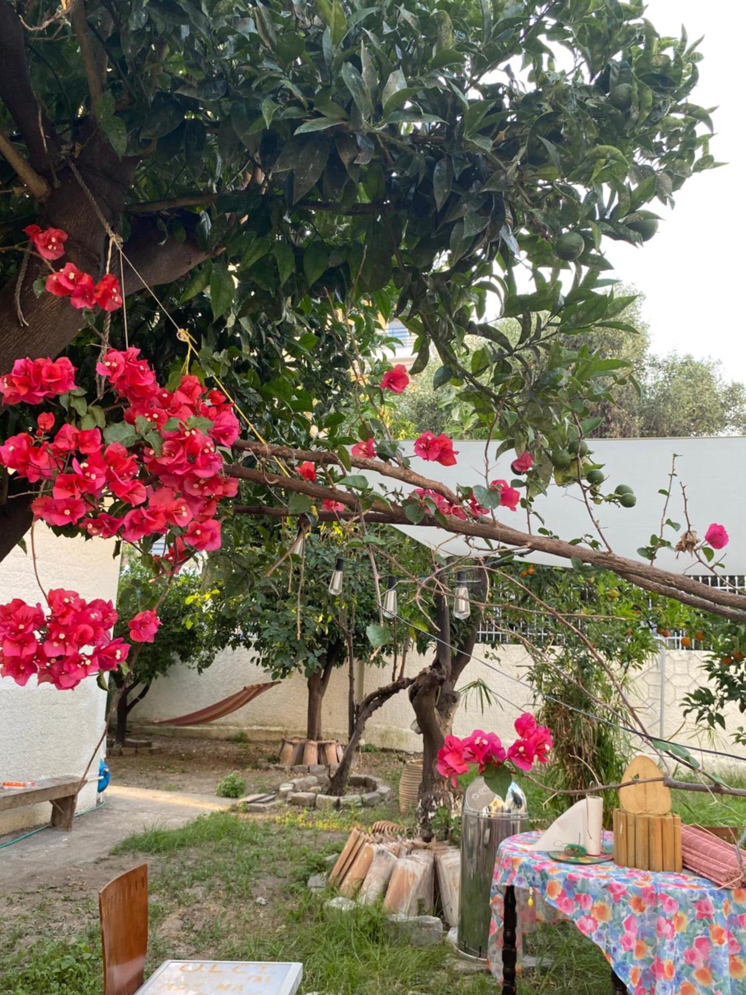 Best Located Melina 2 Rooms Escape Καλαμάτα Εξωτερικό φωτογραφία